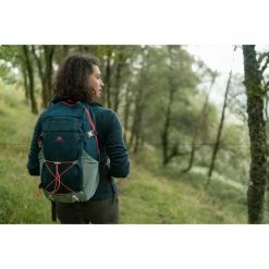 Quechua NH100, Hiking 30 L Backpack