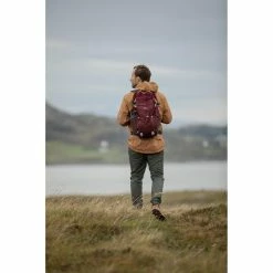 Quechua NH100, Hiking 30 L Backpack