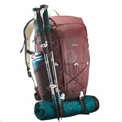 Quechua NH100, Hiking 30 L Backpack