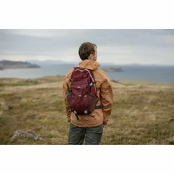 Quechua NH100, Hiking 30 L Backpack