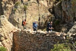 Forclaz Trek 900, Softshell Hiking Windbreaker, Women's Windbreakers