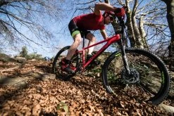 Footwear Rockrider XC500, MTB Shoes, Adult