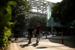 Oxelo Adult Skateboard Longboard Canvas L Low-Rise Shoes Vulca Footwear