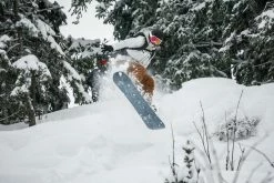 Best reviews of ๐ Dreamscape 500 Ski And Snowboarding Pants โจ 51 Dreamscape 500 Ski And Snowboarding Pants