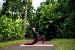 Kimjaly Domyos Cotton Yoga Leggings Bottoms