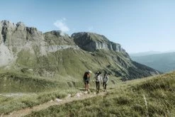 Quechua Hiking Hooded Fleece Jacket - MH520