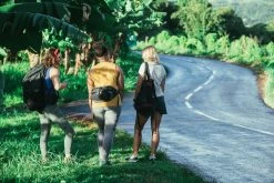 Forclaz 50, Travel 50 L Backpack