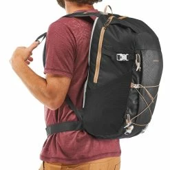 Quechua NH100, Hiking 30 L Backpack