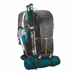 Quechua NH100, Hiking 30 L Backpack