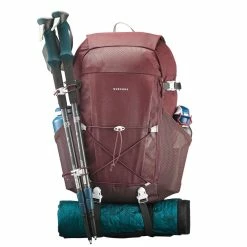 Quechua NH100, Hiking 30 L Backpack