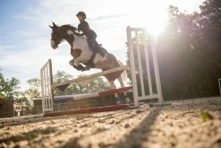 Fouganza 500 Adult Synthetic Horse Riding Jodhpur Boots - Black