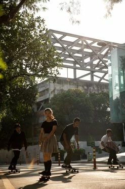 Oxelo Adult Skateboarding Longboarding Low-Top Shoes Vulca 100 Footwear