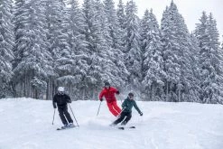 Wedze Bottoms SKI 500, Ski Pant, Women's