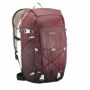 Quechua NH100, Hiking 30 L Backpack