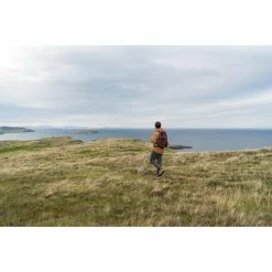 Quechua NH100, Hiking 30 L Backpack