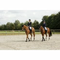 Fouganza Tops Horseback Riding Competition Breeches BR700