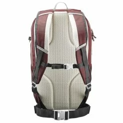 Quechua NH100, Hiking 30 L Backpack
