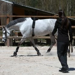 Fouganza Horse Riding 2-in-1 Waterproof Overpants